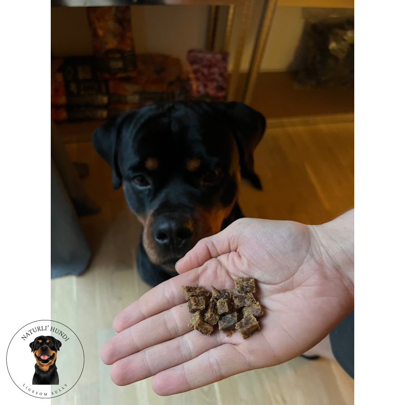 Whesco tr�ningsgodbidder - 100% Hest 100 gram