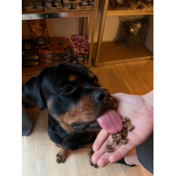 Whesco tr�ningsgodbidder - 100% Hest 100 gram