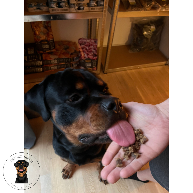 Whesco tr�ningsgodbidder - 100% Hest 100 gram