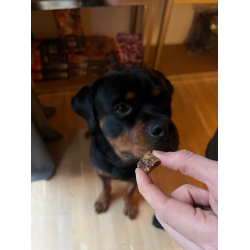 Whesco tr�ningsgodbidder - 100% Hest 100 gram