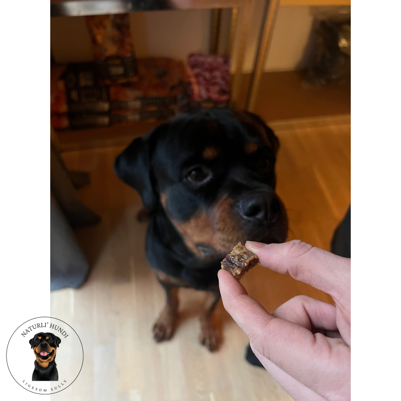 Whesco tr�ningsgodbidder - 100% Hest 100 gram