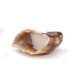 Snack'it Kalveklov m. F�refedtpat�