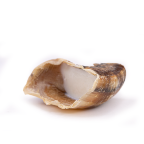 Snack'it Kalveklov m. F�refedtpat�