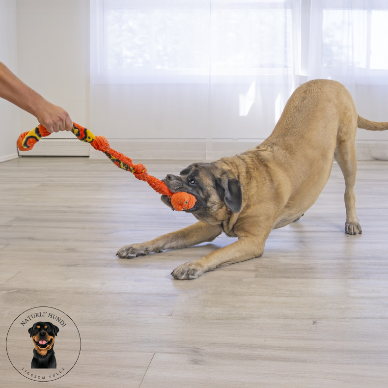 Kong Knots Snake M/L