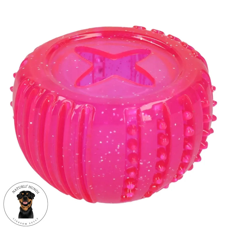  Dog Comets Treat Locker