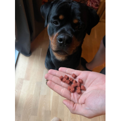 Whesco Softies Hest 200 gram