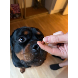 Whesco Softies Hest 200 gram