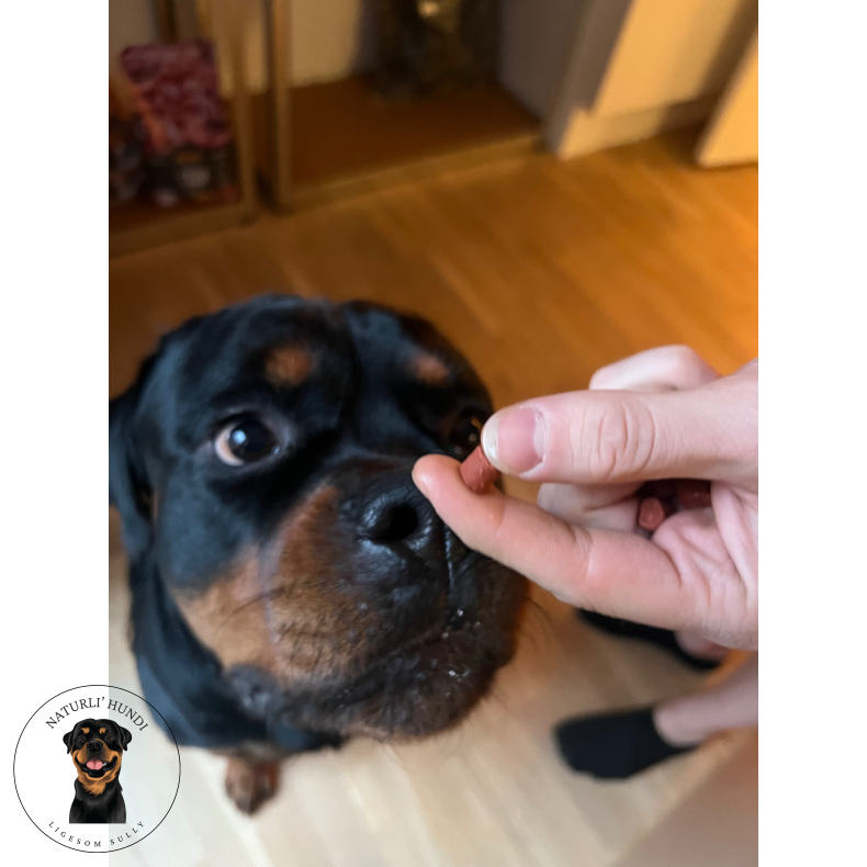 Whesco Softies Hest 200 gram