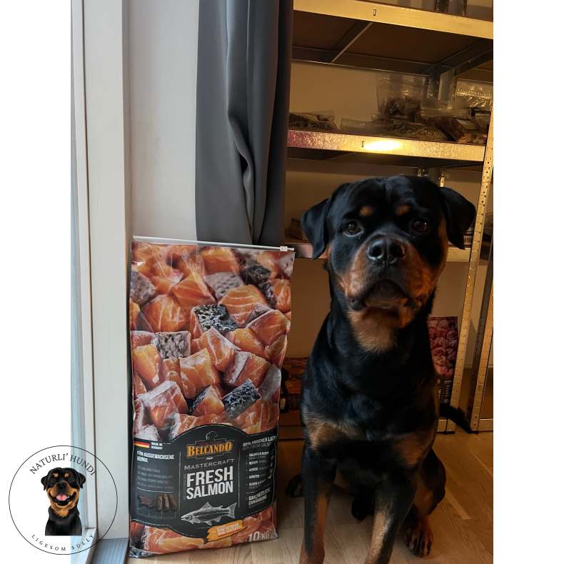 Belcando Mastercraft Laks 10 kilo