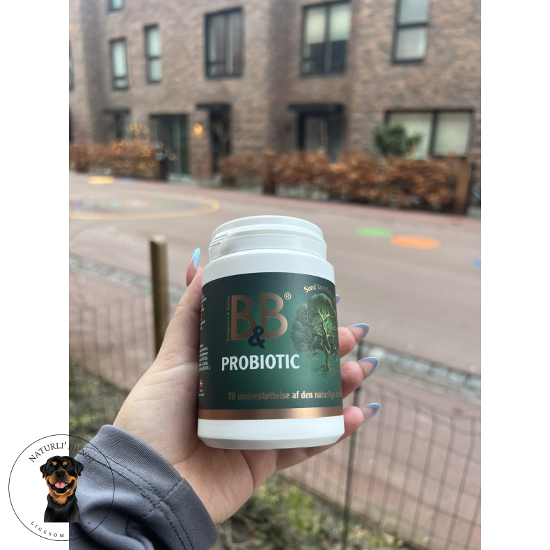 B&B Probiotic 100 g.