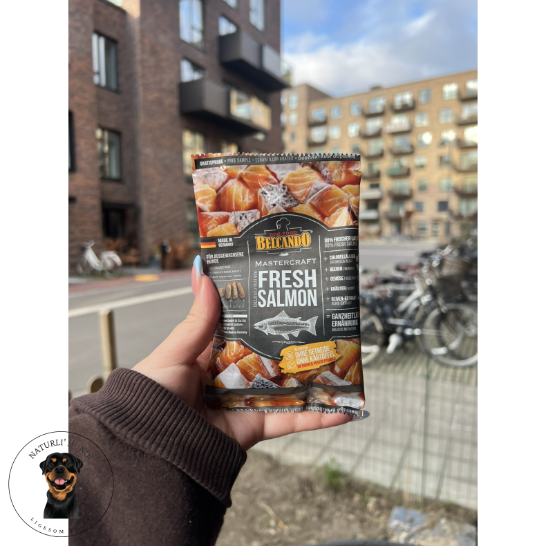 Belcando Mastercraft Laks -  50g