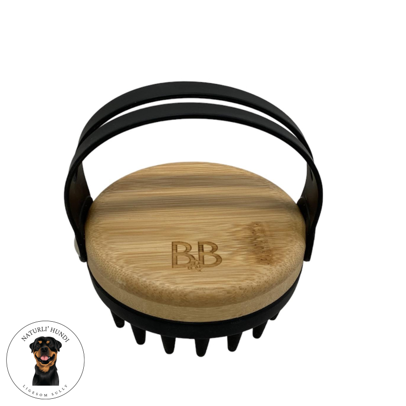 B&B Luksus Massageb�rste 2i1