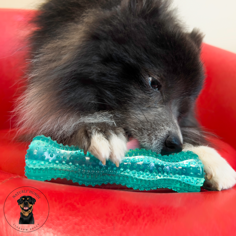 Kong Squeezz Dental Stick