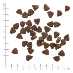 Wolfsblut, Wide Plain, PUPPY, 2 kg