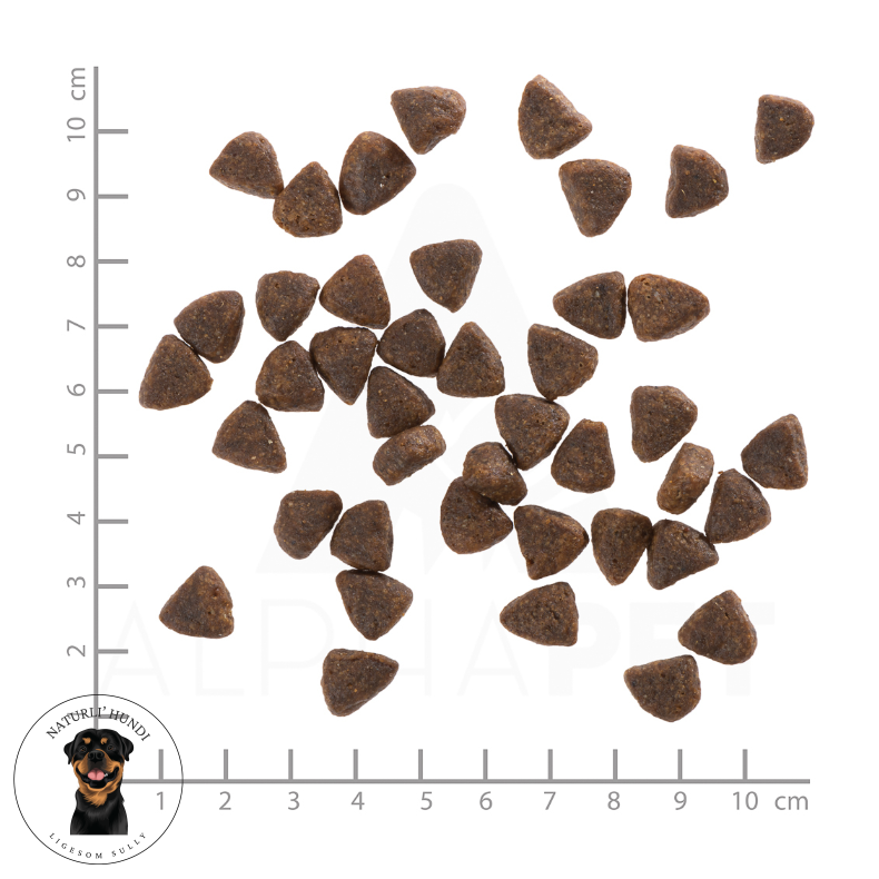 Wolfsblut, Wide Plain, PUPPY, 2 kg