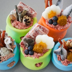 West Paw Toppl Large