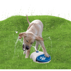 CoolPets Splash Water Fountain