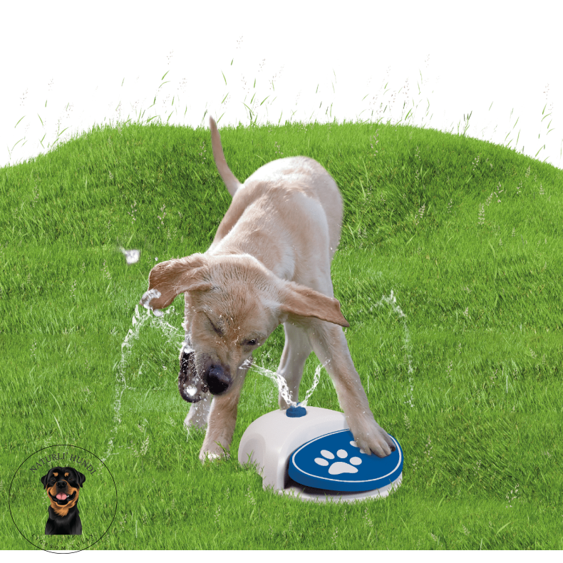 CoolPets Splash Water Fountain